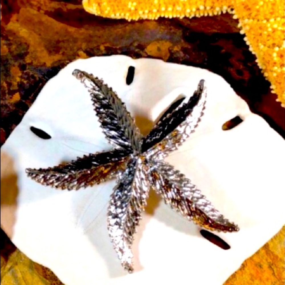 Starfish brooch